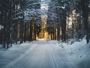 photo of wintery road